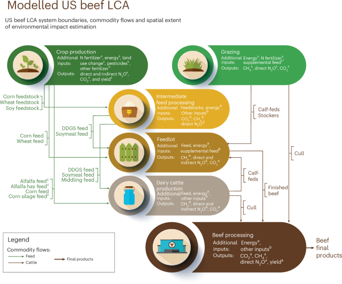 Greenhouse gas emissions in US beef production can be reduced by up to 30% with the adoption of selected mitigation measures