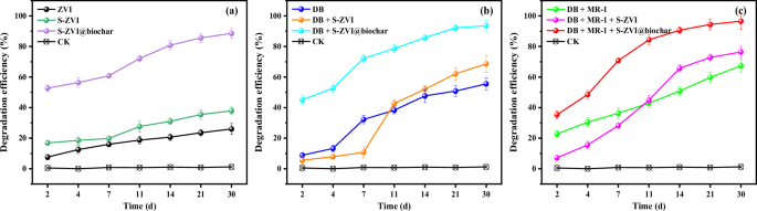 S-ZVI@biochar constructs a directed electron transfer channel between dechlorinating bacteria, Shewanella oneidensis MR-1 and trichloroethylene