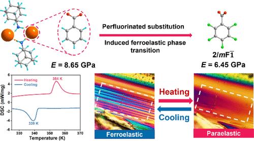 Dual-Channel Control of Ferroelasticity in a Soft Molecular Crystal Induced by Perfluorinated Substitution