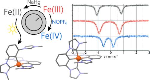 Isostructural Series of a Cyclometalated Iron Complex in Three Oxidation States.