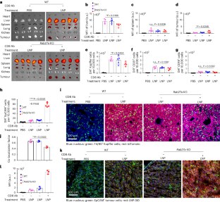 Tumour-derived small extracellular vesicles act as a barrier to therapeutic nanoparticle delivery