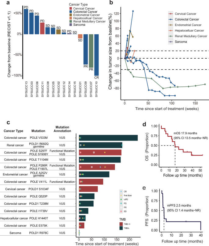 A phase II clinical trial of toripalimab in advanced solid tumors with polymerase epsilon/polymerase delta (POLE/POLD1) mutation.