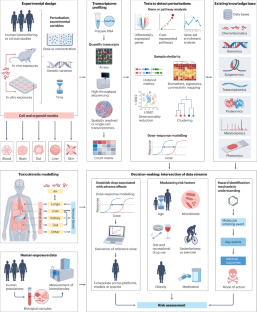 Progress in toxicogenomics to protect human health