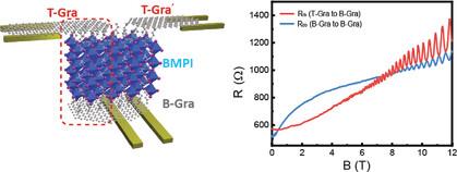 Quantum Transport and Spectroscopy of 2D Perovskite/Graphene Heterostructures