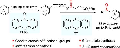 Synthesis of Sulfoxides by Palladium-Catalyzed Arylation of Sulfenate Anions with Aryl Thianthrenium Salts.