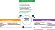 Understanding, assessing and treating immune, endothelial and haemostasis dysfunctions in bacterial sepsis.