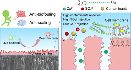 High-Performance Nanofiltration Membrane with Dual Resistance to Gypsum Scaling and Biofouling for Enhanced Water Purification.