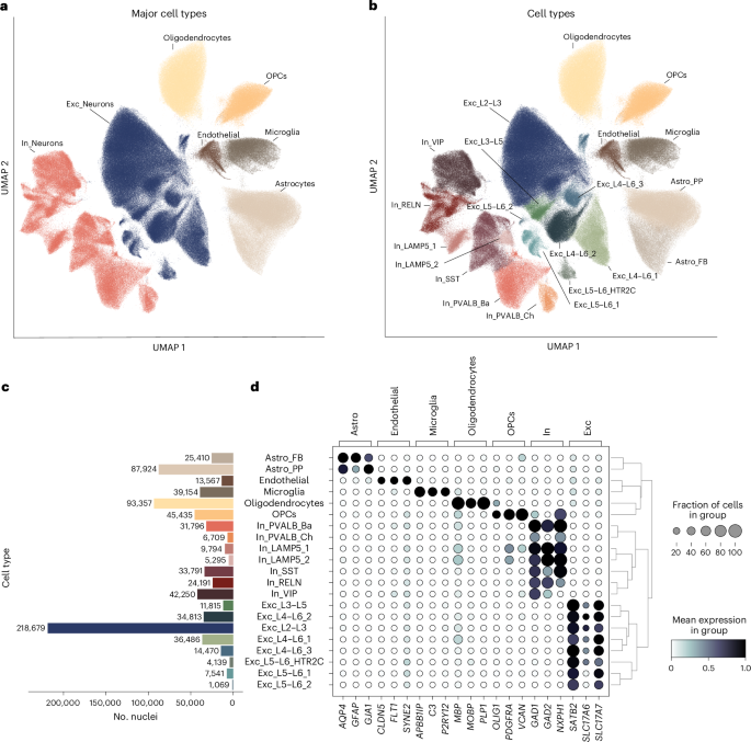 Single-nucleus transcriptomic profiling of human orbitofrontal cortex reveals convergent effects of aging and psychiatric disease