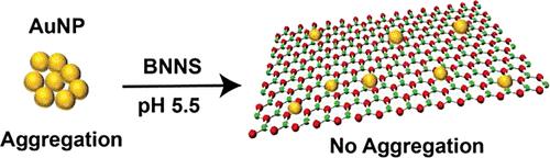 Modulating Electrical Double Layers: Facile Approach for Promoting Noncovalent Interactions between Boron Nitride Nanosheets and Gold Nanoparticles.