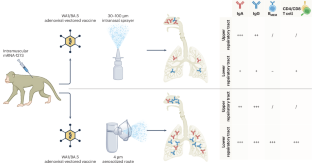 The delivery device of SARS-CoV-2 mucosal vaccine matters