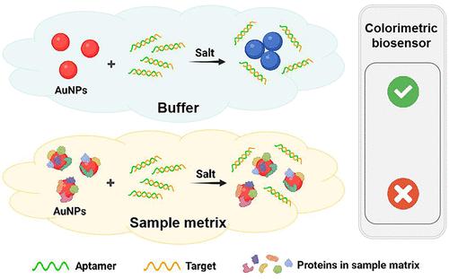 Gold Nanoparticles in Serum and Milk and Their Effect for Label-Free Colorimetric Sensing of DNA.