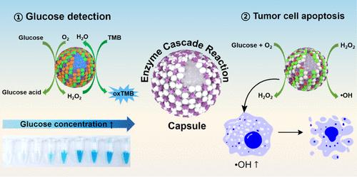 Sono-Assembly of Polyphenol–Protein Capsules for Enhanced Biocatalytic Cascades