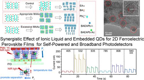 Synergistic Effect of Ionic Liquid and Embedded QDs on 2D Ferroelectric Perovskite Films with Narrow Phase Distribution for Self-Powered and Broad-Band Photodetectors.