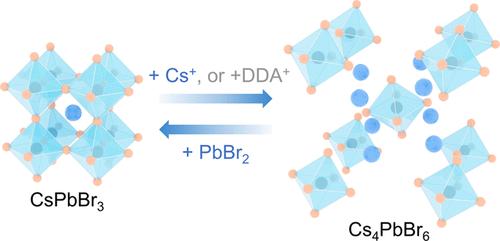 Chemical Instability of CsPbBr3 Nanocrystals and the Reversible Transformation between CsPbBr3 and Cs4PbBr6 Nanocrystals as Driven by Synthetic Precursors