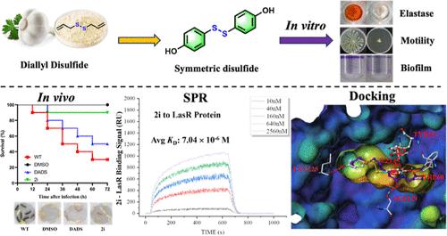 Structure-Based Discovery of Symmetric Disulfides from Garlic Extract as Pseudomonas aeruginosa Quorum Sensing Inhibitors