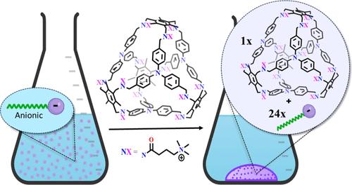 Engineering a Surfactant Trap via Postassembly Modification of an Imine Cage