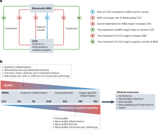 Current understanding and management of cardiovascular involvement in rheumatic immune-mediated inflammatory diseases