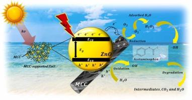 Charge transport properties and photostability of microcrystalline cellulose derived from Gigantochloa scortechinii-supported ZnO for enhanced acetaminophen degradation