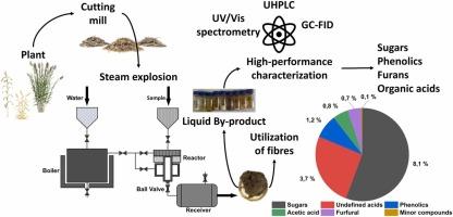 Evaluation of value-added by-products from steam explosion lignocellulosic biomass (Triticum aestivum, Zea mays, and Phragmites australis)