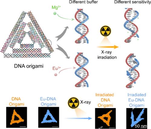 Visualization of Biomolecular Radiation Damage at the Single-Particle Level Using Lanthanide-Sensitized DNA Origami.