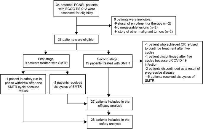 Sintilimab (anti-PD-1 antibody) combined with high-dose methotrexate, temozolomide, and rituximab (anti-CD20 antibody) in primary central nervous system lymphoma: a phase 2 study.