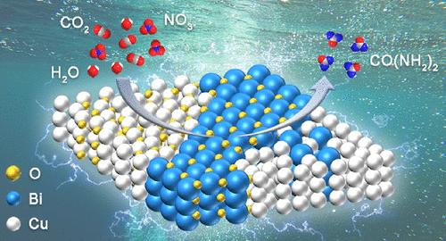 Urea Synthesis via Coelectrolysis of CO2 and Nitrate over Heterostructured Cu–Bi Catalysts