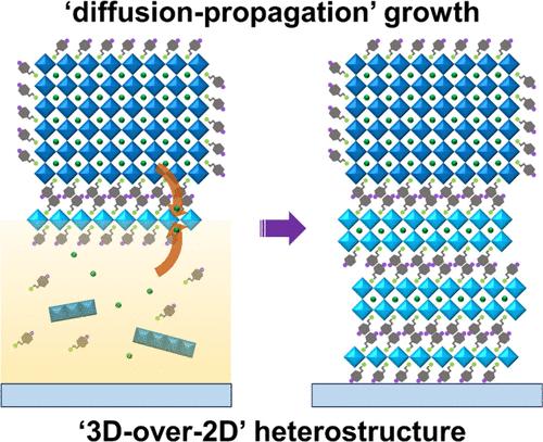 Unraveling the Formation Mechanisms of Highly Oriented Tin Perovskite with a 3D-over-2D Heterostructure