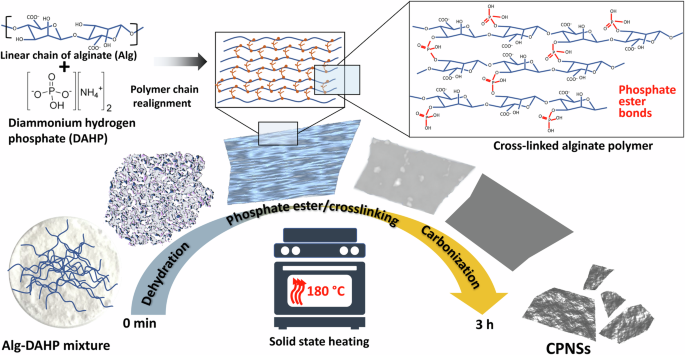 Phosphate ester-linked carbonized polymer nanosheets to limit microbiological contamination in aquaculture water