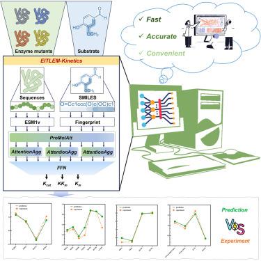 EITLEM-Kinetics: A deep-learning framework for kinetic parameter prediction of mutant enzymes