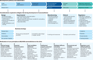 A translational framework to DELIVER nanomedicines to the clinic