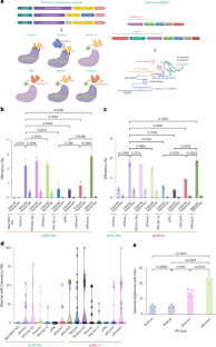 Optimized dicot prime editing enables heritable desired edits in tomato and Arabidopsis