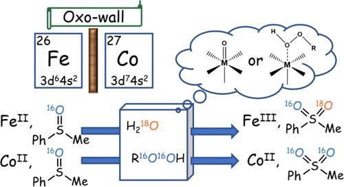 Revisiting the Iron(II)/Cobalt(II)-Based Homogenous Fenton-like Processes from the Standpoint of Diverse Metal-Oxygen Complexes.