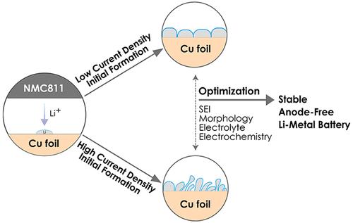 Effect of the Formation Rate on the Stability of Anode-Free Lithium Metal Batteries
