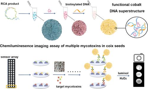 Ultrasensitive Imaging Assay of Multiple Mycotoxins Using Cobalt DNA-Inorganic Hybrid Superstructure with High Chemiluminescence Catalytic Property.