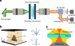 Dimensional crossover in a quantum gas of light