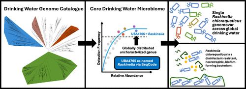 New Drinking Water Genome Catalog Identifies a Globally Distributed Bacterial Genus Adapted to Disinfected Drinking Water Systems.