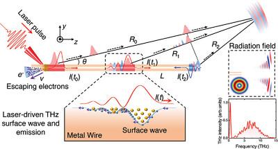 Radiation Dynamics and Manipulation of Extreme Terahertz Surface Wave on a Metal Wire