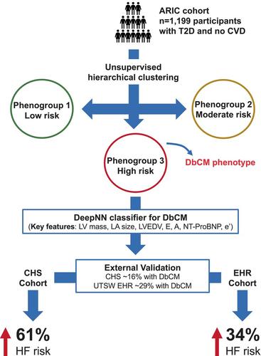 Development and validation of a machine learning-based approach to identify high-risk diabetic cardiomyopathy phenotype