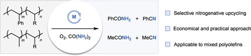 Selective Upcycling of Polyolefins into High-Value Nitrogenated Chemicals.