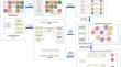 Mining Patient-Generated Content for Medication Relations and Transition Network to Predict the Rankings and Volumes of Different Medications