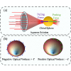 Enantioselective optical forces and size-dependent sorting of single chiral particles using vortex beams