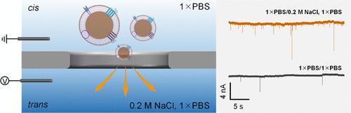Highly Sensitive Detection of Tumor Cell-Derived Exosomes Using Solid-State Nanopores Assisted with a Slight Salt Gradient.