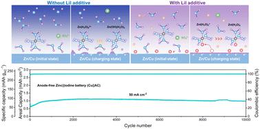Identifying iodide-ion regulation of early-stage zinc nucleation and growth for high-rate anode-free zinc metal batteries†