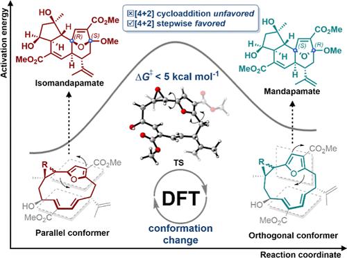 Theoretical Study on the Biosynthesis of the Mandapamates: Mechanistic Insights Using Density Functional Theory.