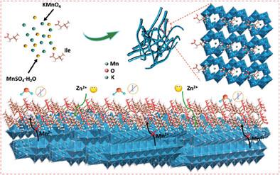 Tailoring MnO2 Cathode Interface via Organic–Inorganic Hybridization Engineering for Ultra-Stable Aqueous Zinc-Ion Batteries