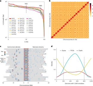 High-quality genome of a modern soybean cultivar and resequencing of 547 accessions provide insights into the role of structural variation