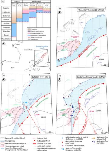 Sedimentology and structure of the Paleogene Nummulitic series of Corsica: Reconstruction of the southern termination of the western Alpine foreland basin