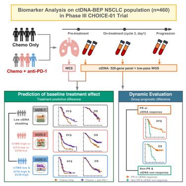 Circulating tumor DNA-based stratification strategy for chemotherapy plus PD-1 inhibitor in advanced non-small-cell lung cancer