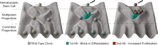 Cohesin mutations in acute myeloid leukemia