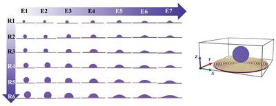 Wetting and Dewetting Behaviors of Droplets on the Nanoring Surface